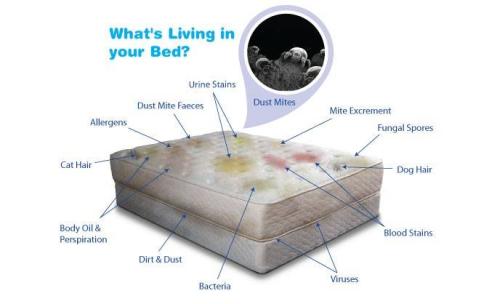 15 Mattress Cleaning
